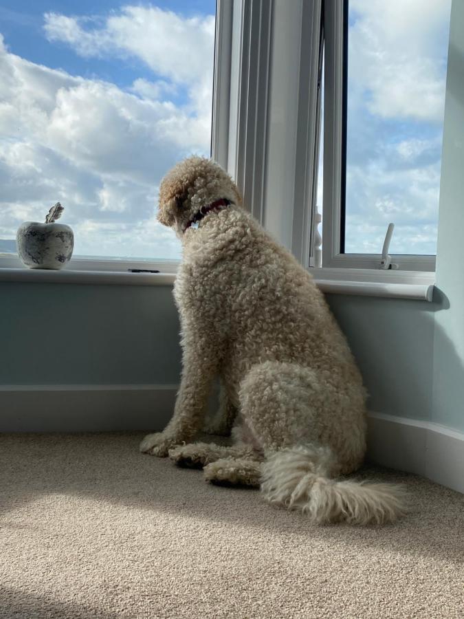 Bed and Breakfast Oceandrive Barmouth Exteriér fotografie
