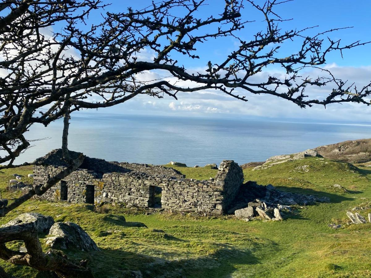 Bed and Breakfast Oceandrive Barmouth Exteriér fotografie