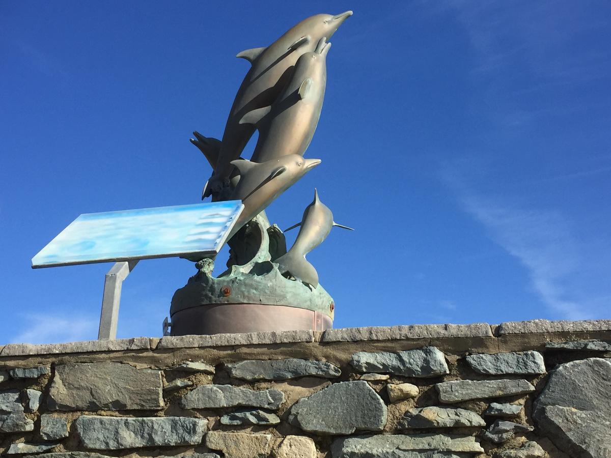 Bed and Breakfast Oceandrive Barmouth Exteriér fotografie